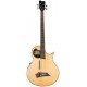 WARWICK ALIEN 4 NAT