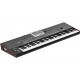 KORG PA3X LE