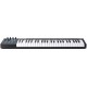 ALESIS V49