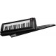 KORG RK-100S-BK