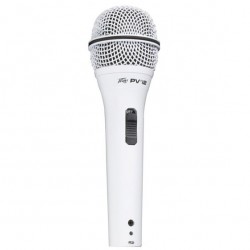 PEAVEY PVi™ 2W