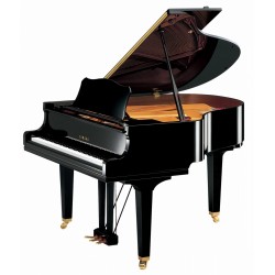YAMAHA GC1 PE