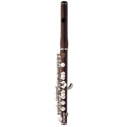 YAMAHA YPC81