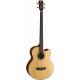 CORT SJB5F NS w/bag