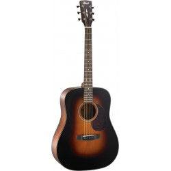 CORT Earth300V SB