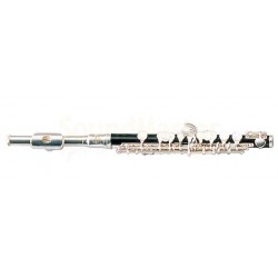 MAXTONE China TPC60S
