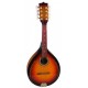 MAXTONE China MGRC202