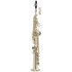 MAXTONE China TSC21L