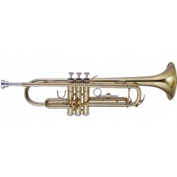 MAXTONE China TTC23L