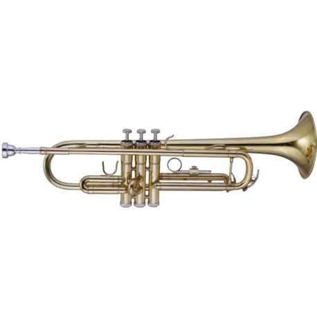 MAXTONE China TTC23L