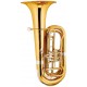 MAXTONE China TTC53L2