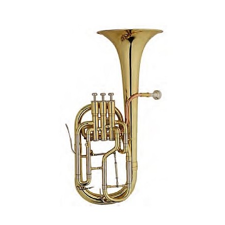 MAXTONE China TAC53 RNL