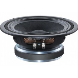 CELESTION T5889