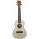 PARKSONS UK21C