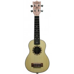 PARKSONS UK24C
