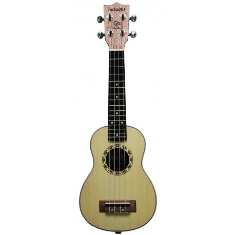 PARKSONS UK24C