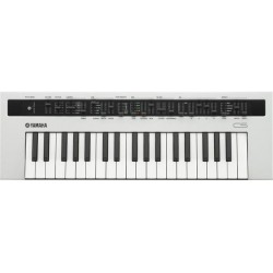 YAMAHA REFACE CS