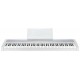 KORG B1-WH