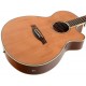 IBANEZ AEG15II LG