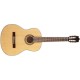 IBANEZ G-100 NT