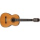 IBANEZ G500 NT
