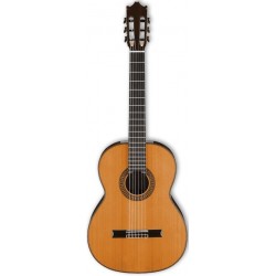 IBANEZ G500 NT
