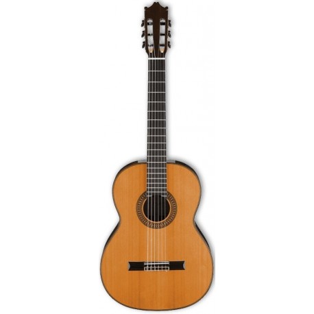 IBANEZ G500 NT