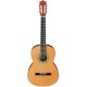 IBANEZ GA3NJP AM