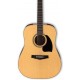IBANEZ PF15 NT