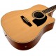 IBANEZ PF15ECE NT