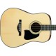 IBANEZ AW3000 NT