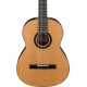 IBANEZ GA15 NT