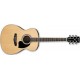 IBANEZ PC15 NT