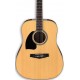 IBANEZ PF15L NT