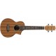 IBANEZ UEW5