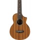 IBANEZ UEW5