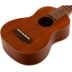 IBANEZ UKS10