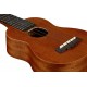 IBANEZ UKS10