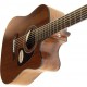 IBANEZ AW54CE OPN - електроакустична гітара