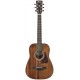 IBANEZ AW54MINIGB OPN