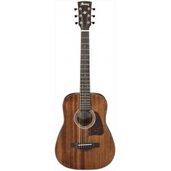 IBANEZ AW54MINIGB OPN