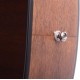 IBANEZ AW54MINIGB OPN