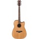 IBANEZ AW65ECE