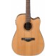 IBANEZ AW65ECE