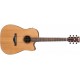 IBANEZ AW65ECE