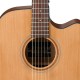 IBANEZ AW65ECE