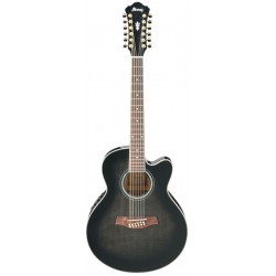 IBANEZ AEL2012E TKS