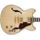IBANEZ AS73G NT