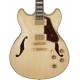 IBANEZ AS73G NT
