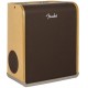FENDER ACOUSTIC SFX